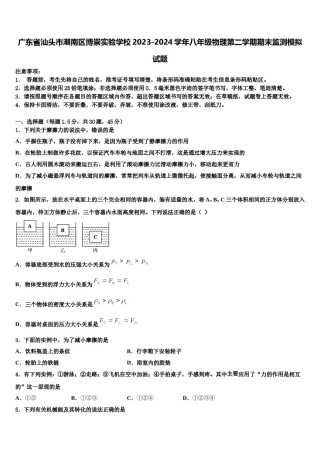 广东省汕头市潮南区博崇实验学校2023-2024学年八年级物理第二学期期末监测模拟试题含解析.doc