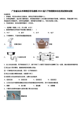 广东省汕头市潮南区司马浦镇2024届八下物理期末综合测试模拟试题含解析.doc