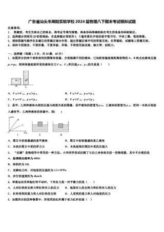 广东省汕头市潮阳实验学校2024届物理八下期末考试模拟试题含解析.doc