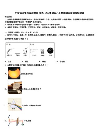 广东省汕头市苏湾中学2023-2024学年八下物理期末监测模拟试题含解析.doc