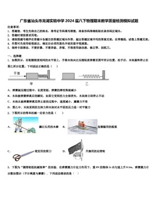 广东省汕头市龙湖实验中学2024届八下物理期末教学质量检测模拟试题含解析.doc