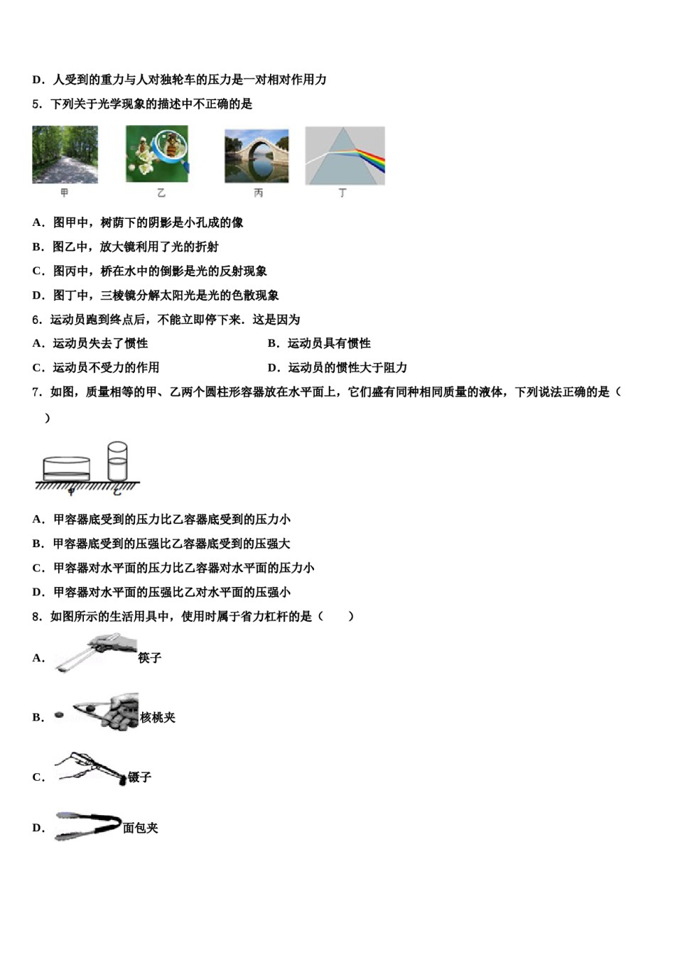 广东省汕头潮阳区五校联考2024届物理八下期末统考试题含解析.doc_第2页