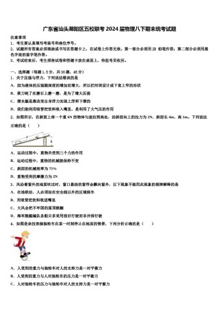 广东省汕头潮阳区五校联考2024届物理八下期末统考试题含解析.doc