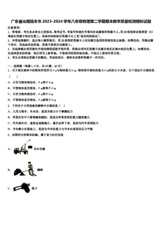 广东省汕尾陆丰市2023-2024学年八年级物理第二学期期末教学质量检测模拟试题含解析.doc