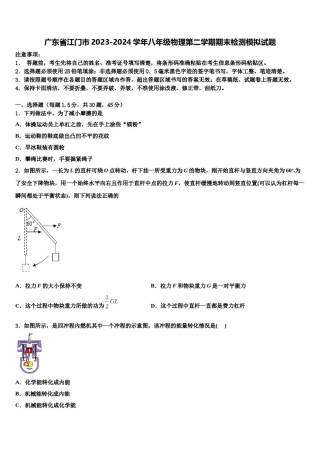 广东省江门市2023-2024学年八年级物理第二学期期末检测模拟试题含解析.doc
