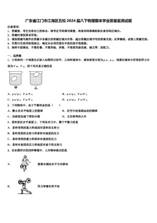 广东省江门市江海区五校2024届八下物理期末学业质量监测试题含解析.doc