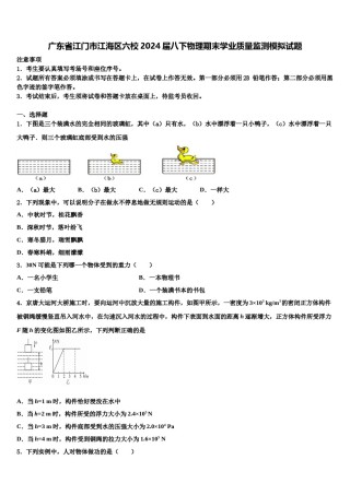 广东省江门市江海区六校2024届八下物理期末学业质量监测模拟试题含解析.doc