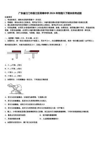 广东省江门市蓬江区荷塘中学2024年物理八下期末统考试题含解析.doc