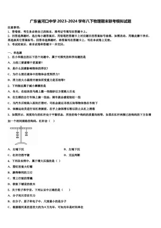 广东省河口中学2023-2024学年八下物理期末联考模拟试题含解析.doc