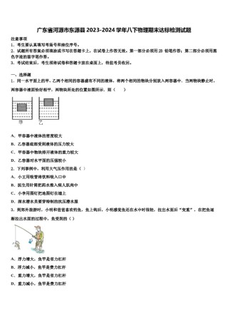 广东省河源市东源县2023-2024学年八下物理期末达标检测试题含解析.doc