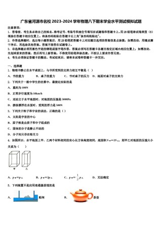 广东省河源市名校2023-2024学年物理八下期末学业水平测试模拟试题含解析.doc