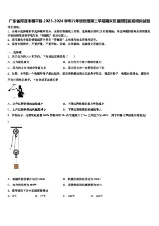 广东省河源市和平县2023-2024学年八年级物理第二学期期末质量跟踪监视模拟试题含解析.doc
