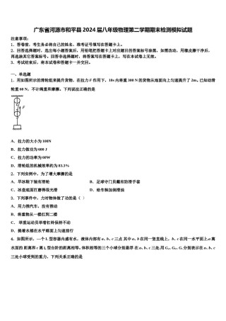 广东省河源市和平县2024届八年级物理第二学期期末检测模拟试题含解析.doc