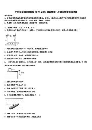 广东省深圳实验学校2023-2024学年物理八下期末统考模拟试题含解析.doc
