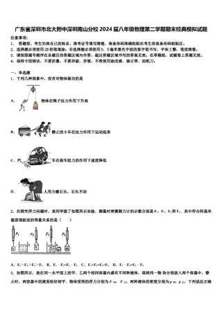 广东省深圳市北大附中深圳南山分校2024届八年级物理第二学期期末经典模拟试题含解析.doc