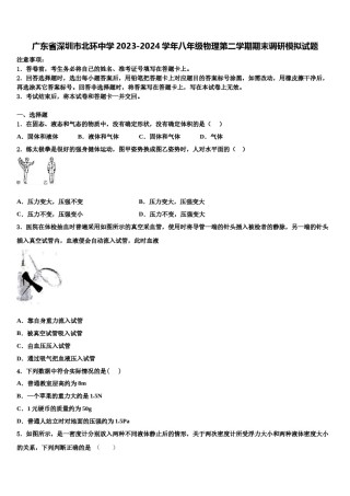 广东省深圳市北环中学2023-2024学年八年级物理第二学期期末调研模拟试题含解析.doc