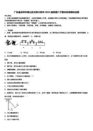 广东省深圳市南山区北师大附中2024届物理八下期末检测模拟试题含解析.doc