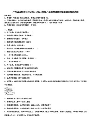 广东省深圳市名校2023-2024学年八年级物理第二学期期末检测试题含解析.doc