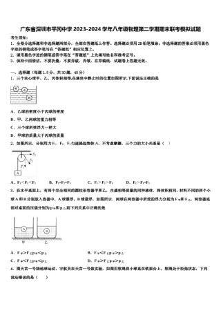 广东省深圳市平冈中学2023-2024学年八年级物理第二学期期末联考模拟试题含解析.doc