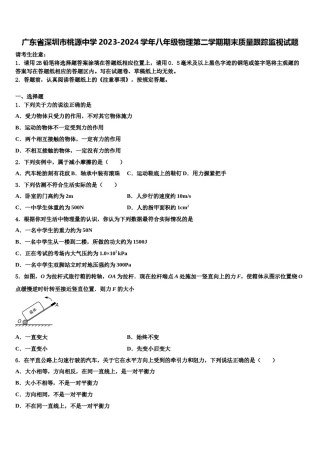 广东省深圳市桃源中学2023-2024学年八年级物理第二学期期末质量跟踪监视试题含解析.doc