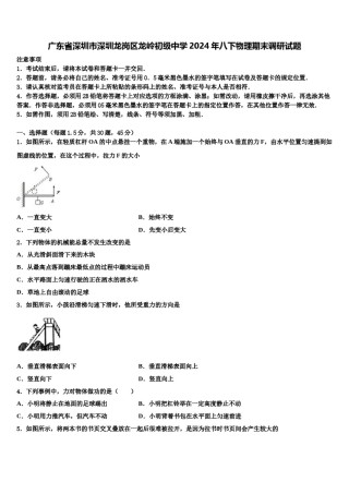 广东省深圳市深圳龙岗区龙岭初级中学2024年八下物理期末调研试题含解析.doc