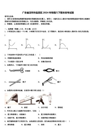 广东省深圳市盐田区2024年物理八下期末统考试题含解析.doc