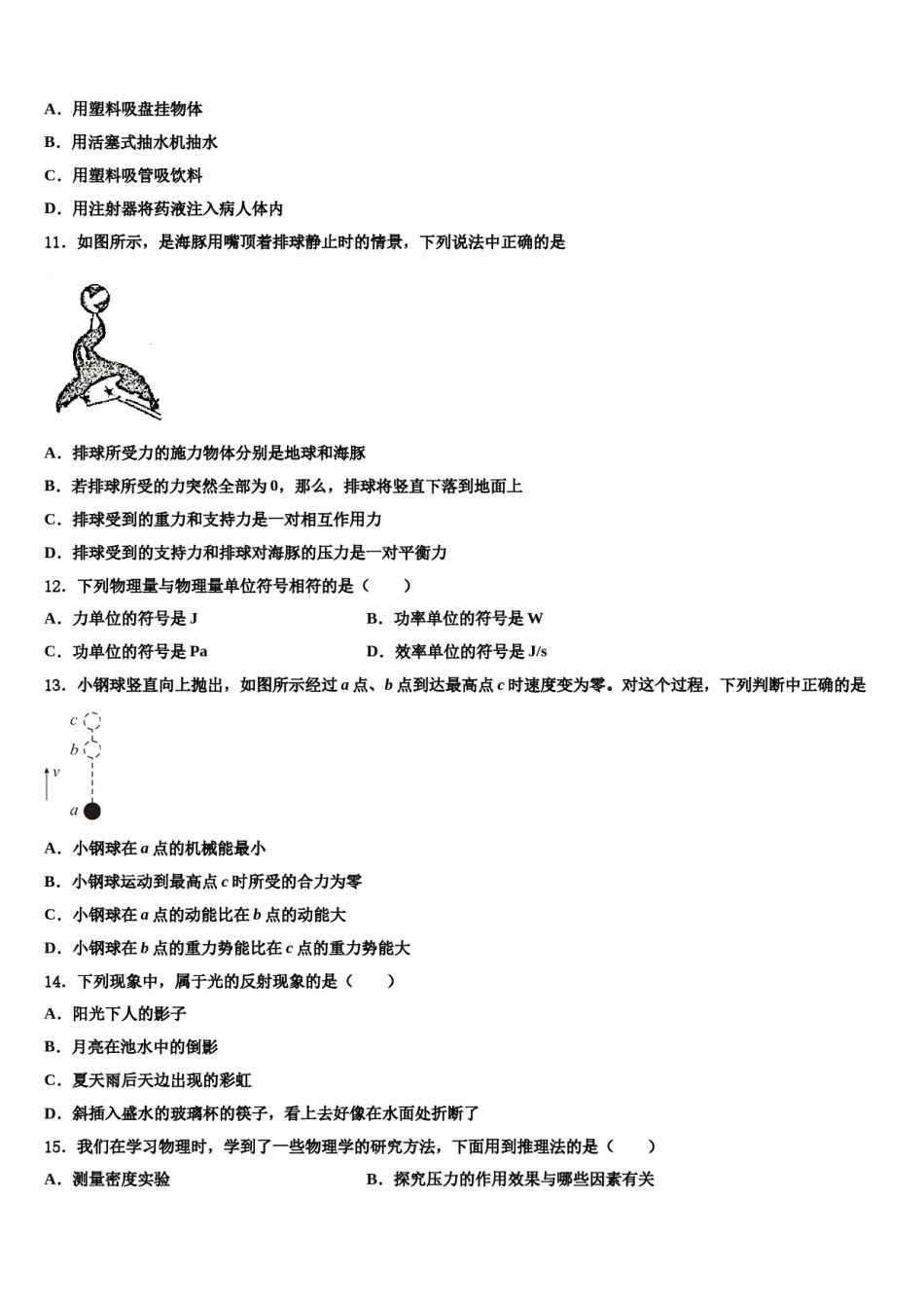 广东省深圳市石厦学校2024年物理八下期末学业水平测试模拟试题含解析.doc_第3页