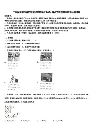 广东省深圳市福田区耀华实验学校2024届八下物理期末复习检测试题含解析.doc