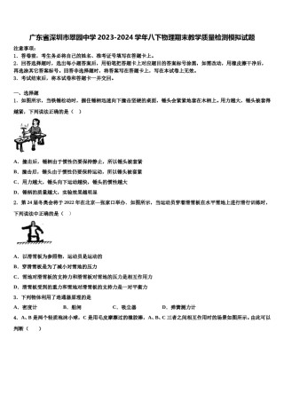 广东省深圳市翠园中学2023-2024学年八下物理期末教学质量检测模拟试题含解析.doc