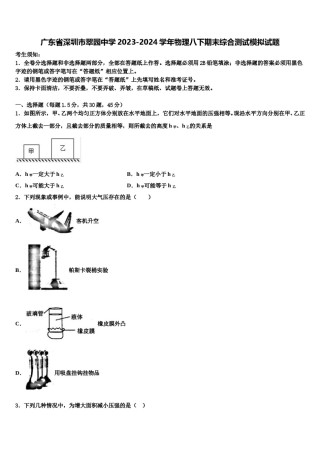 广东省深圳市翠园中学2023-2024学年物理八下期末综合测试模拟试题含解析.doc