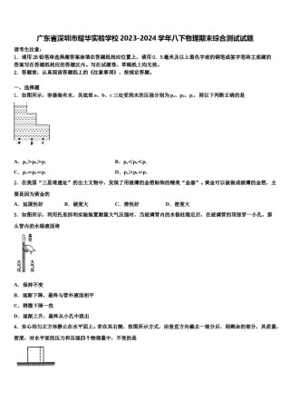 广东省深圳市耀华实验学校2023-2024学年八下物理期末综合测试试题含解析.doc