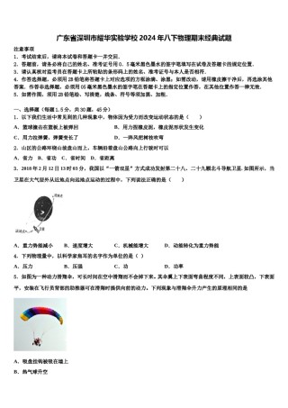 广东省深圳市耀华实验学校2024年八下物理期末经典试题含解析.doc