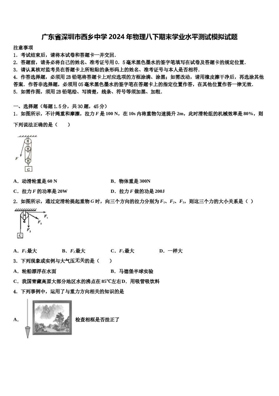 广东省深圳市西乡中学2024年物理八下期末学业水平测试模拟试题含解析.doc_第1页