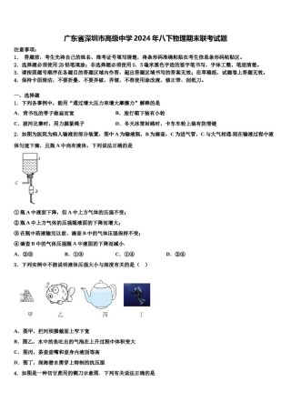 广东省深圳市高级中学2024年八下物理期末联考试题含解析.doc