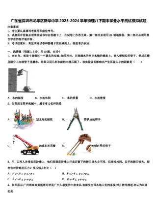 广东省深圳市龙华区新华中学2023-2024学年物理八下期末学业水平测试模拟试题含解析.doc