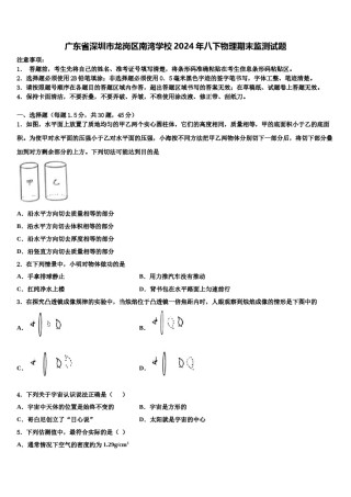 广东省深圳市龙岗区南湾学校2024年八下物理期末监测试题含解析.doc