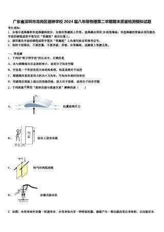 广东省深圳市龙岗区德琳学校2024届八年级物理第二学期期末质量检测模拟试题含解析.doc