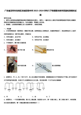 广东省深圳市龙岗区龙城初级中学2023-2024学年八下物理期末教学质量检测模拟试题含解析.doc