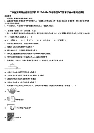 广东省深圳百合外国语学校2023-2024学年物理八下期末学业水平测试试题含解析.doc