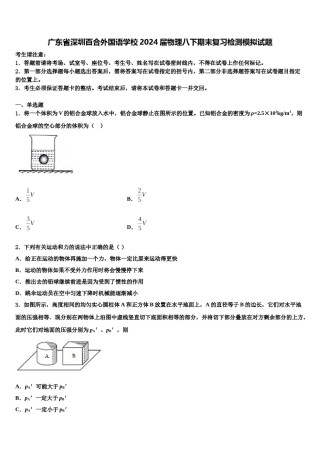 广东省深圳百合外国语学校2024届物理八下期末复习检测模拟试题含解析.doc