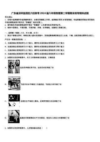 广东省深圳盐田区六校联考2024届八年级物理第二学期期末统考模拟试题含解析.doc