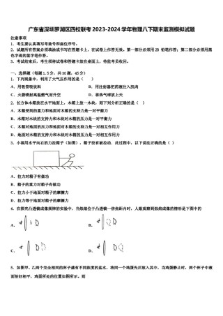 广东省深圳罗湖区四校联考2023-2024学年物理八下期末监测模拟试题含解析.doc