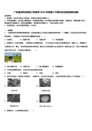 广东省深圳龙岗区六校联考2024年物理八下期末综合测试模拟试题含解析.doc