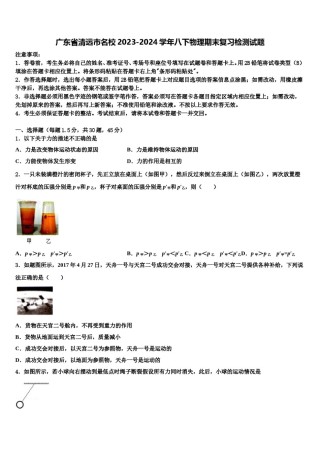 广东省清远市名校2023-2024学年八下物理期末复习检测试题含解析.doc