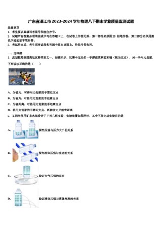 广东省湛江市2023-2024学年物理八下期末学业质量监测试题含解析.doc