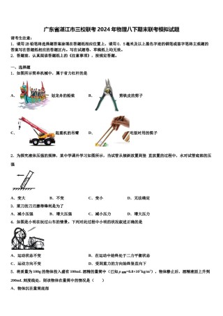 广东省湛江市三校联考2024年物理八下期末联考模拟试题含解析.doc