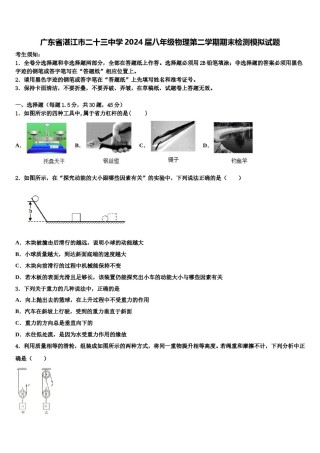 广东省湛江市二十三中学2024届八年级物理第二学期期末检测模拟试题含解析.doc