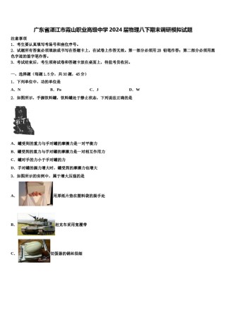 广东省湛江市霞山职业高级中学2024届物理八下期末调研模拟试题含解析.doc
