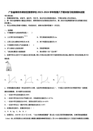 广东省潮州市潮安区雅博学校2023-2024学年物理八下期末复习检测模拟试题含解析.doc