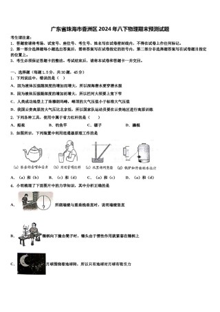 广东省珠海市香洲区2024年八下物理期末预测试题含解析.doc